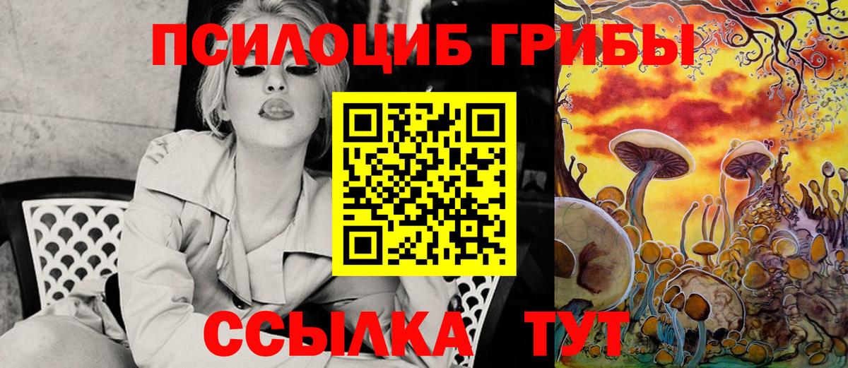 Псилоцибиновые грибы прущие грибы Кувандык