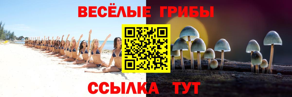 Кувандык  Псилоцибиновые грибы Cubensis  Вход с VPN  что такое наркотик  Псилоцибиновые грибы Psilocybe 